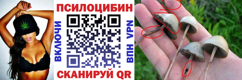 Галлюциногенные грибы ЛСД  Вельск 